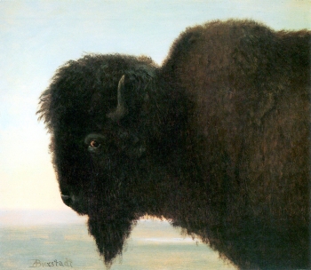  painting titled Buffalo Head
