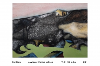 Acrylic and Charcoal on Board  painting titled Burnt Land 