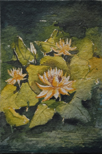 Watercolor on Poster Paper painting titled Water Lilies