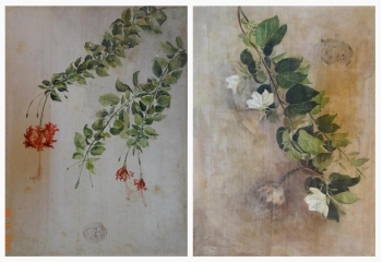 Watercolour on Silk painting titled Flowers on Silk I & II