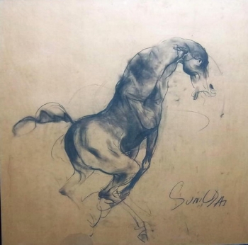 Charcoal on Paper painting titled Stallion II