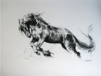 Charcoal on paper painting titled A Handsome Horse II