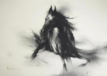 Charcoal on paper painting titled The stallion