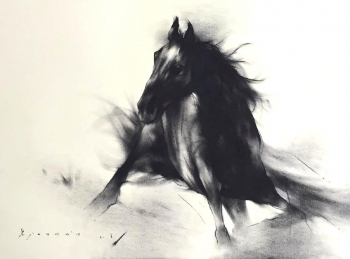 Charcoal and Acrylic on Paper painting titled The Stallion