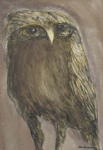 Charcoal & Conte on Paper painting titled Owl
