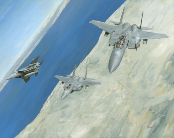 Acrylic on Illustration Board painting titled Eagles Over The Gulf