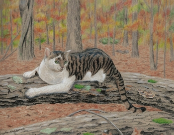 colored pencil and ink on toned paper painting titled Rocky in the Woods