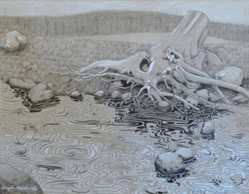 ink and colored pencil on toned paper painting titled Roots Holding the Water's Edge