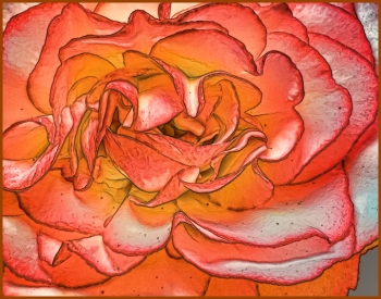  painting titled Carnation in Abstract.