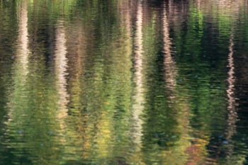  painting titled Reflections in Water (Beckley, WV)