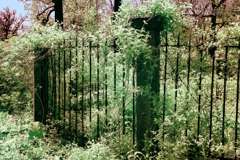  painting titled Ruined Fence in Druid Hill Park