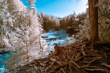  painting titled Swallow Falls